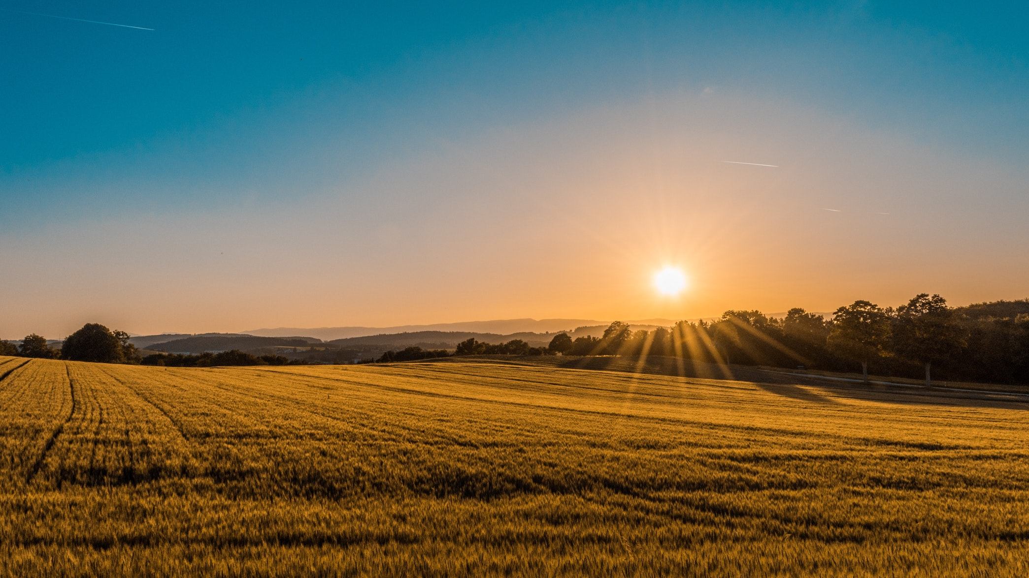 countryside